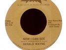 GERALD WAYNE Now I Can See on Starr Modern Soul 45 Hear