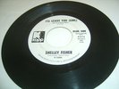 SHELLEY FISHER I'LL LEAVE YOU GIRL ORIG FUNK PROMO 45 RARE
