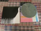 Flaming Lips & Neon Indian (arcade fire animal collective yoshimi battles robot)