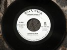 LORRAINE CHANDLER Northern Soul 7