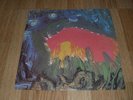 Meat Puppets - II - VINYL LP Nirvana Punk - original first pressing 1983 SST NM
