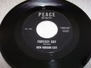 New Hudson Exit - Fantasy Day / Too Many People - on Peace label  - LISTEN