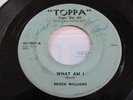 KILLER ROCK A BILLY 45; BROCK WILLIAMS ;WHAT AM I/ TOUCH OF PERFECTION