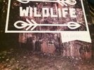 La Dispute Wildlife Subscription /30 No Sleep Pianos Become The Teeth Tigers Jaw
