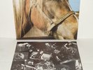 TERVEET KADET-The Horse LP RARE '85 orig kbd Barabbas Rattus Kaaos