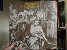 Caravan - Waterloo Lily    12
