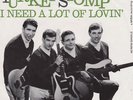 The Living End - Turkey stomp Dutch'45PS Rare MOD Listen