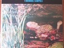 THEORIUS CAMPUS-DE GREGORI/VENDITTI-ORIG.IT-ZSLT70007- PROG.