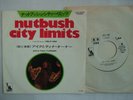 PROMO WHITE LABEL / IKE & TINA TURNER - NUTBUSH CITY LI