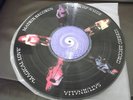 SATURNALIA RARE PICTURE DISC LP FOLK ROCK PSYCH COMPLETE WITH BOOKLET 