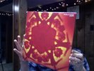 Boards of Canada Geogaddi 3 LP Vinyl OOP on Warp RARE