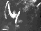 ILDJARN - 1992-1995 LP