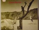 TONTON MACOUTE--Self-Titled Import LP