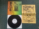 Magic Mushroom Band Politics Of Ecstasy  + Poster Ltd 500  LP NM