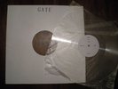 GATE - USA 1994 Vol. 1 LP - lathe cut - NZ - Dead C - 