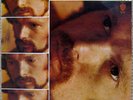 VAN MORRISON Moondance original 1970 UK LP with rare orange labels - EX