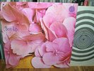 STILL LIFE same UK Vertigo prog original 1972 LP