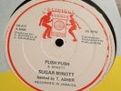 Sugar Minott - Push push / Trevor levy - Got to make a move - Rare Digi killer