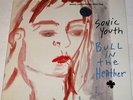 SONIC YOUTH Bull in the Heather 3 Track 10