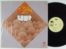 BUMP Self-Titled PIONEER LP NM SHRINK private psych RARE