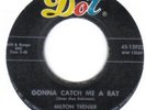 RARE NORTHERN SOUL R&B POPCORN    MILTON TRENIER     GONNA CATCH ME A RAT    DOT