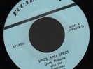 (Hear) Dave Roberts & Kingtones Michigan Garage 45 (Spics and Specs)