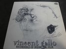 Vincent Gallo Recordings of Music for Film Double LP