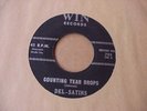 Del Satins Counting Teardrops / Remember  ORIGINAL Doo Wop 45