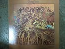 FEVER TREE - For Sale (RARE US Pressing on AMPEX, Garage-Psych) M-/NM Jacket NM