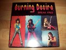  Private Aor Hard Rock Hair Metal Burning Desire - Break Free LP