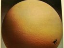 EGG LP The Civil Surface (import)