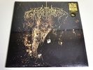 WOLVES IN THE THRONE ROOM-TWO HUNTERS-LP/VINYL