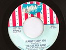 CHERRY SLUSH cannot stop you 60s GARAGE mod BEAT hear