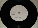 RARE White Label Promo 45 Holly Twins with Eddie Cochran - I Want Elvis EX+