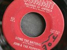  Funk 45 JOHN & PEPPERS on SUMMIT In A Minute Baby / Doing Natural HEAR