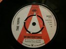 THE  VIPPS  'WINTERTIME' 1966