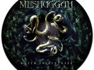 Meshuggah Catch Thirtythree Double LP Picture Disc Rare