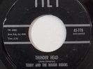 TEDDY AND THE ROUGH RIDERS surf garage rockabilly tittyshaker 45 HEAR TILT 778