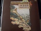 JACKSON HEIGHTS - RAGAMUFFINS FOOL - LP *MINT* 1ST VERTIGO SWIRL + POSTER