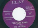 NORTHERN / MAD MIKE   ANTENNAS   FUJI YAMA MAMA b/w BE YOURSELF  {CLAY}