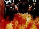 TAD Salt Lick GRUNGE LP GLITTERHOUSE MINT