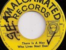 THE PARAGONS / MAN NEXT DOOR / LISTEN
