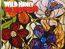 THE BEACH BOYS wild honey LP VG+ ST 2859 Vinyl 1st Press USA Stereo 1967 RARE