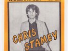 CHRIS STAMEY & ALEX CHILTON The Summer Sun RARE M- US powerpop 7