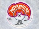 KEITH MEEHAN - DARKNESS OF MY LIFE  HOOKER ST. U.K MOD PSYCH 45 (LISTEN)
