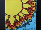 BECAUSE I AM Clear Light Prod 2x LP (1973) PRIVATE XIAN PSYCH/FUNK