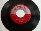 Rare (except on ebay) The Robins RIOT IN CELL BLOCK #9 Spark Records doowop AA