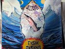 STEVE HILLAGE - FISH RISING LP SEALED PROMO 1975 NO BARCODE