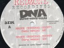 DNA - BRONX CRIMINAL COUNTY - ORGINAL PRESS RARE RANDOM NYC 12