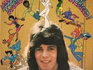 Rick Springfield Mission Magic LP